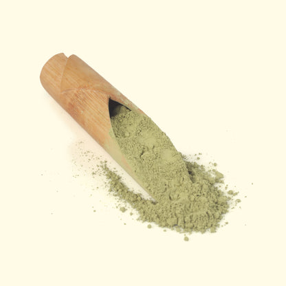 Organic Matcha Green Tea Powder - 100gms